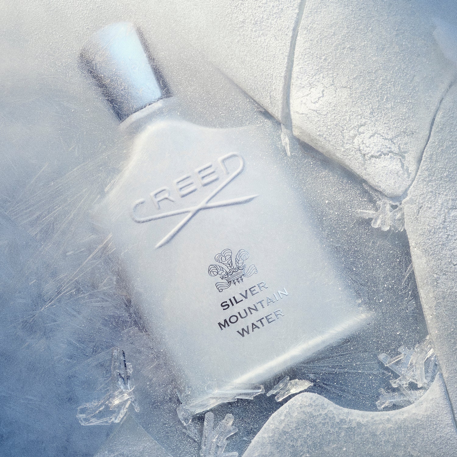 CREED SILVER MOUNTAIN WATER MEN EDP 100ML