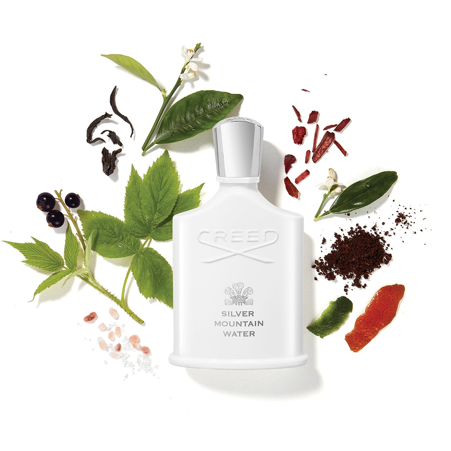 CREED SILVER MOUNTAIN WATER MEN EDP 100ML